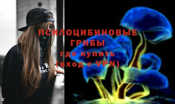 прущие грибы Армянск