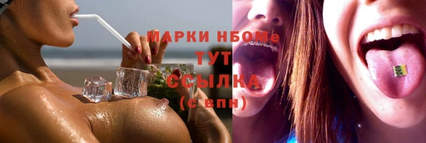 прущие грибы Армянск