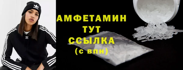 прущие грибы Армянск