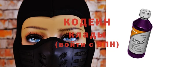 прущие грибы Армянск