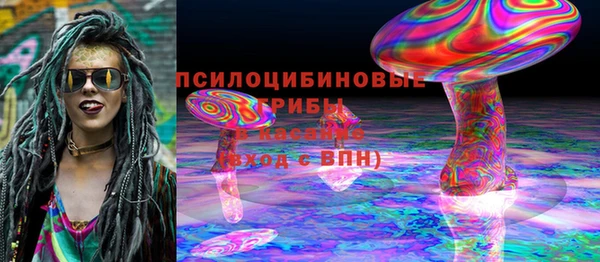прущие грибы Армянск